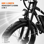 ORLMS MX500 24"52V 23AH Dual Motor Electric Bike | Fat Tire All-Terrain E-Bike